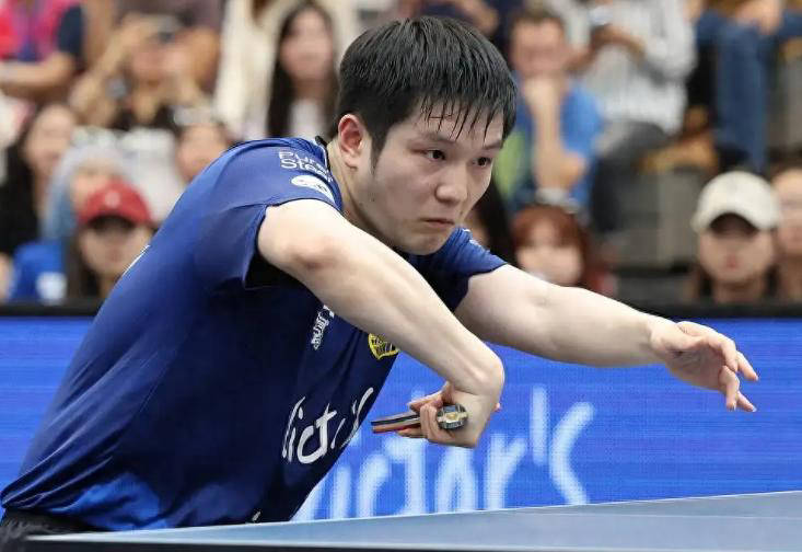 樊振东新年劲爆开局,德甲联赛连斩两场胜利保持不败